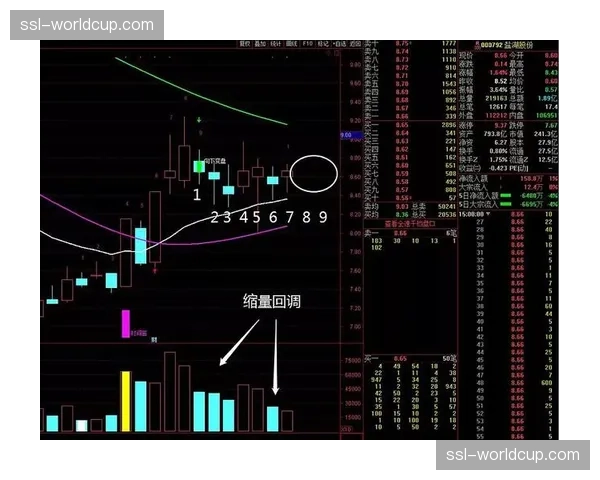 战术失误还是状态使然？复盘朝鲜队本届赛事“高开低走”之谜