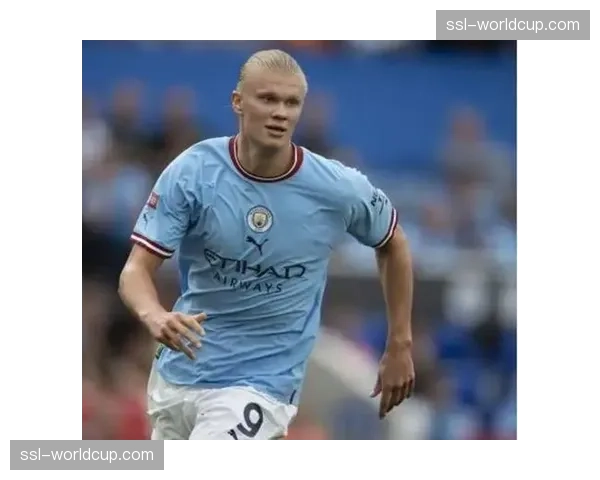 BBC专访哈兰德:“欧冠是最高舞台,我渴望再次赢得它” BBC专访哈兰德:“欧冠是最高舞台,我渴望再次赢得它”