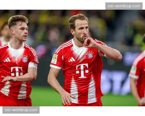 拜仁球迷庆祝第35个德国顶级联赛冠军